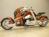 2012 Travertson V-Rex photo